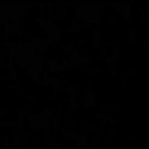 Meet your Posher, Luis